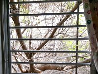 סורגית מדגם פרימיום אופקי מותקנת בחדר הילדים. ניתן לראות שפינת ההחתלה קרובה מאד לחלון והסורגית מונעת נפילה של סכנה חלילה. : סורגים, סורגים לילדים, סורג, סורגית