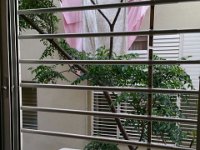 סורגית מדגם פרימיום אופקי - מבט מתוך הבית : סורגים, סורגים לילדים, סורג, סורגית