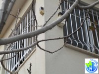 מבט מבחוץ  סורגית מדגם פרימיום בטן מתאימה גם להתקנה בדירות שכורות היות וניתן להעבירה מדירה לדירה.