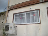 סורגית פרימיום אנכי - מבט מחוץ לבית  צילום של בית עסק בדירת סטודיו - במקרה זה הסורגים נועדו להרתיע גנבים מזדמנים.